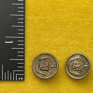 Set‎ Of 2 Rare Vintage Spectamur Agendo Lion Crest Buttons Collectables